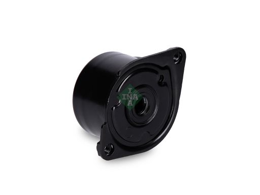 534 0170 10 Napinacz Paska Wielorowkowego Pasuje Do: Bmw 3 (E46), 3 (E