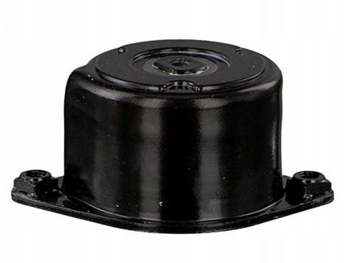 534 0170 10 Napinacz Paska Wielorowkowego Pasuje Do: Bmw 3 (E46), 3 (E