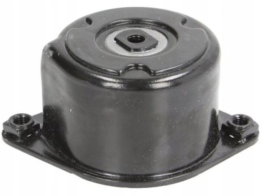 534 0170 10 Napinacz Paska Wielorowkowego Pasuje Do: Bmw 3 (E46), 3 (E