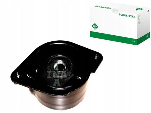 534 0170 10 Napinacz Paska Wielorowkowego Pasuje Do: Bmw 3 (E46), 3 (E