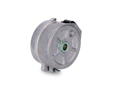 534 0255 10 Napinacz Paska Wielorowkowego Pasuje Do: Citroen Berlingo,