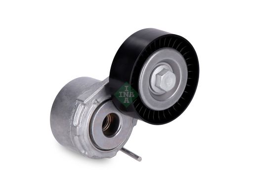 534 0110 20 Napinacz Paska Wielorowkowego Pasuje Do: Citroen Berlingo,