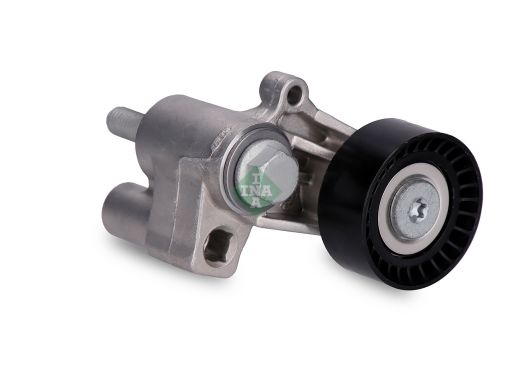 534 0100 20 Napinacz Paska Wielorowkowego Pasuje Do: Citroen Berlingo,