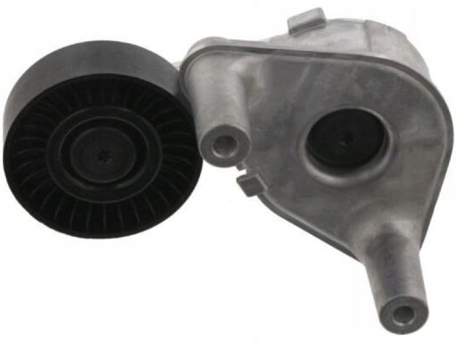 Fe31256 Napinacz Paska Wielorowkowego Pasuje Do: Hyundai Coupe Ii, I40