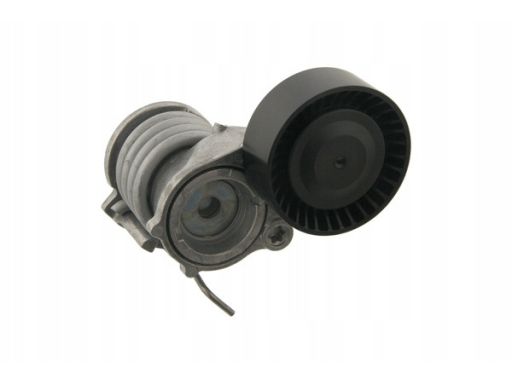 Fe30897 Napinacz Paska Wielorowkowego Pasuje Do: Seat Cordoba, Ibiza I