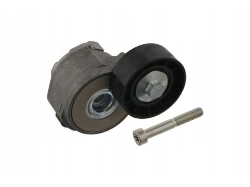 Fe30733 Napinacz Paska Wielorowkowego Pasuje Do: Alfa Romeo 159, Brera