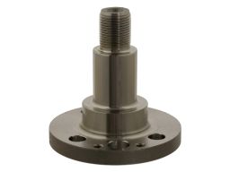 Fe30501 Czop Piasty Koła Tył L/P Tył Pasuje Do: Audi A1, A2, Seat Cord