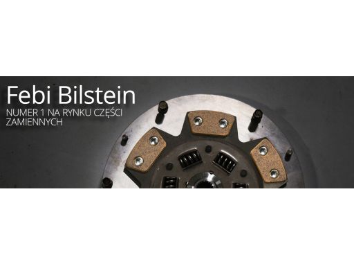 Fe30645 Czujnik Temperatury Płynu Chłodzącego (Ilość Pinów: 2, Czarny)