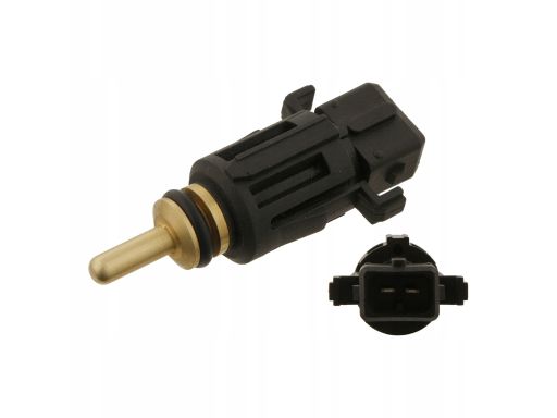 Fe30645 Czujnik Temperatury Płynu Chłodzącego (Ilość Pinów: 2, Czarny)