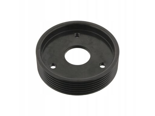 Fe29501 Koło Pasowe Pompy Wspomagania (Śr. Zew.: 93Mm, 6Pk) Pasuje Do: