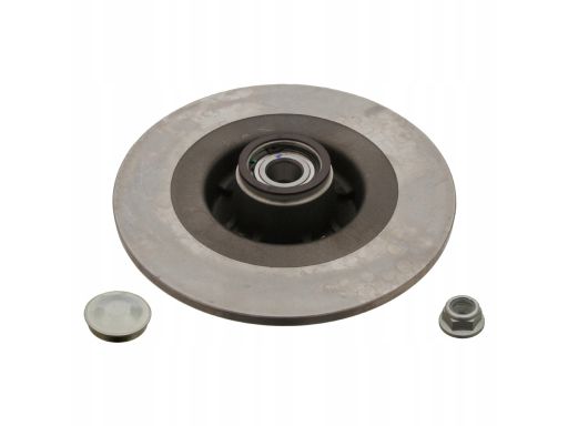 Fe28156 Tarcza Hamulcowa Z Łożyskiem Tył L/P Pasuje Do: Renault Grand