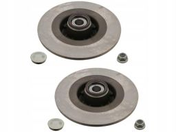 Fe28156 Tarcza Hamulcowa Z Łożyskiem Tył L/P Pasuje Do: Renault Grand