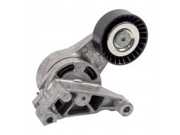 Fe27806 Napinacz Paska Wielorowkowego Pasuje Do: Audi A3, Seat Altea,