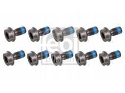 Fe24602 Śruba Koła Zamachowego M10X1Mm/19Mm Pasuje Do: Audi A4 B7, A6