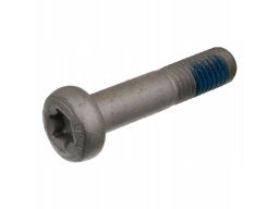 Fe24385 Część Mocujące Sworzeń Wahacza Przód L/P (Śruba, M12X1,75) Pas