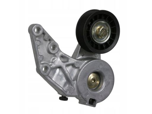 Fe22365 Napinacz Paska Wielorowkowego Pasuje Do: Audi Tt, Seat Alhambr