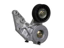 Fe22365 Napinacz Paska Wielorowkowego Pasuje Do: Audi Tt, Seat Alhambr