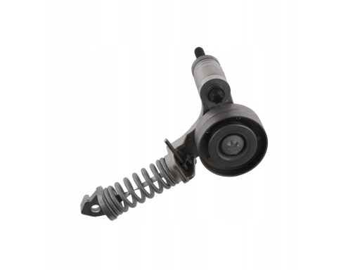 Fe22370 Napinacz Paska Wielorowkowego Pasuje Do: Chevrolet Aveo, Opel