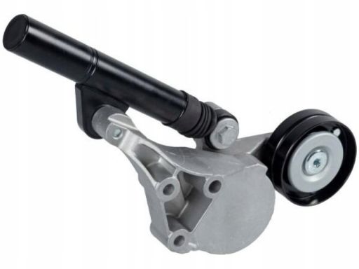 Fe21690 Napinacz Paska Wielorowkowego Pasuje Do: Audi A3, Seat Cordoba