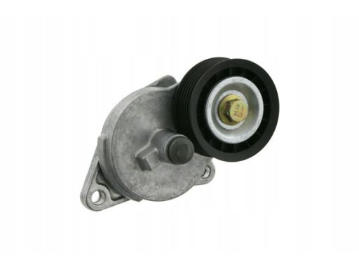 Fe19824 Napinacz Paska Wielorowkowego Pasuje Do: Ford Cougar, Focus I,