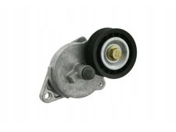 Fe19824 Napinacz Paska Wielorowkowego Pasuje Do: Ford Cougar, Focus I,