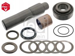 Fe18430 Zestaw Naprawczy Zwrotnicy (Na 1 Koło, Z Łożyskiem