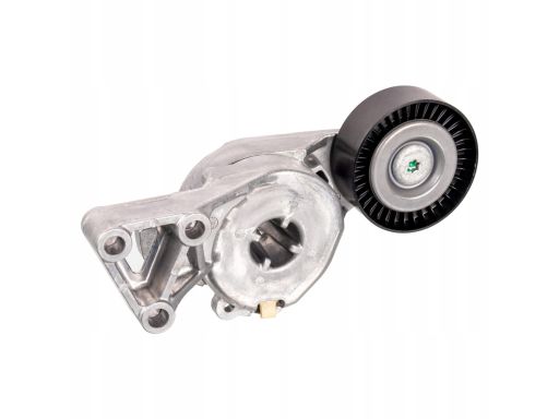 Fe14714 Napinacz Paska Wielorowkowego Pasuje Do: Audi A3, Tt, Seat