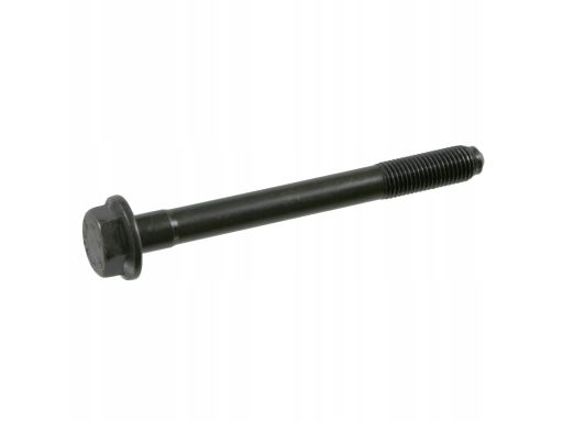 Fe01198 Elementy Montażowe Zawieszenia (Śruba) Tył L/P (Oś Tylna) Pasu