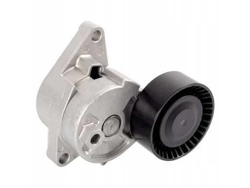 Fe10781 Napinacz Paska Wielorowkowego Pasuje Do: Bmw 3 (E46), 5 (E39),