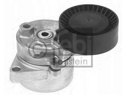 Fe10781 Napinacz Paska Wielorowkowego Pasuje Do: Bmw 3 (E46), 5 (E39),