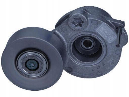 534 0672 10 Napinacz Paska Wielorowkowego Pasuje Do: Audi A8 D5, Q7, Q