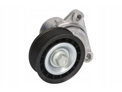 534 0326 10 Napinacz Paska Wielorowkowego Pasuje Do: Ford Fiesta V,