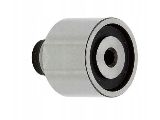 532 0623 10 Rolka Prowadząca Paska Rozrządu Pasuje Do: Man Tge, Audi A