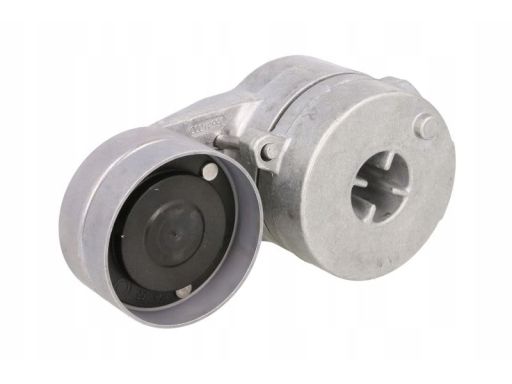 Vkmcv 51031 Napinacz Paska Wielorowkowego Pasuje Do: Mercedes Axor,