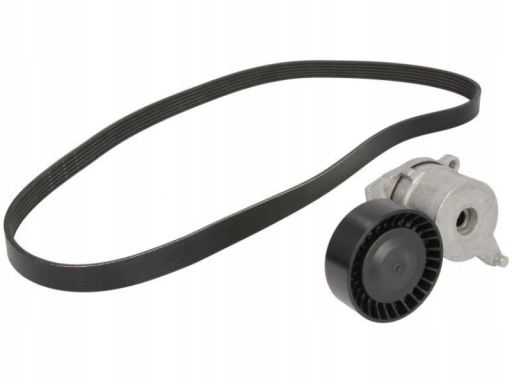 529 0262 10 Zestaw Pasków Wielorowkowych (Z Rolkami) Pasuje Do: Citroe