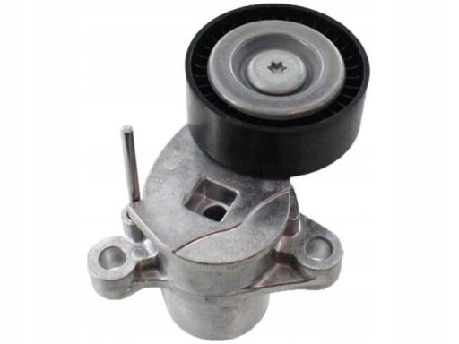 Vkm 34119 Napinacz Paska Wielorowkowego Pasuje Do: Ford B-Max, C-Max I