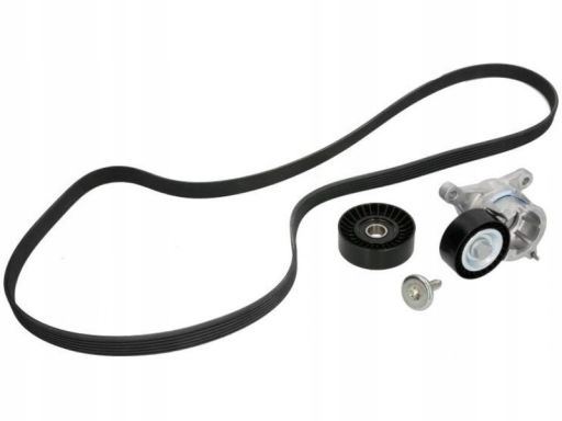 529 0183 10 Zestaw Pasków Wielorowkowych (Z Rolkami) Pasuje Do: Citroe