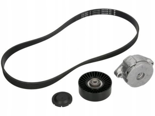 529 0102 10 Zestaw Pasków Wielorowkowych (Z Rolkami) Pasuje Do: Ford