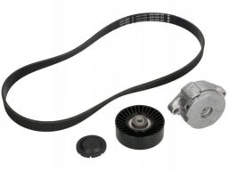 529 0102 10 Zestaw Pasków Wielorowkowych (Z Rolkami) Pasuje Do: Ford