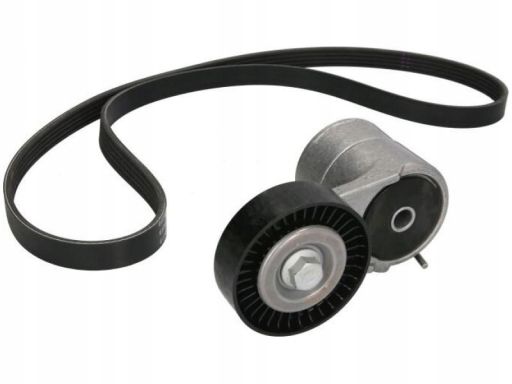 529 0008 10 Zestaw Pasków Wielorowkowych (Z Rolkami) Pasuje Do: Chevro