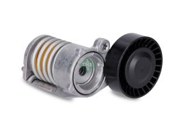 534 0274 10 Napinacz Paska Wielorowkowego Pasuje Do: Volvo C30, C70 Ii