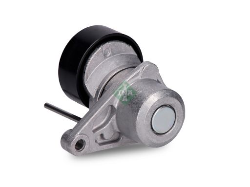 534 0250 10 Napinacz Paska Wielorowkowego Pasuje Do: Citroen C2, C2