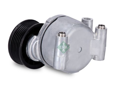 534 0249 10 Napinacz Paska Wielorowkowego Pasuje Do: Volvo C30, S40 Ii