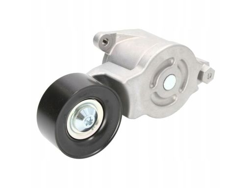 Fe102165 Napinacz Paska Wielorowkowego Pasuje Do: Mazda 3, 6, Cx-7 2.2