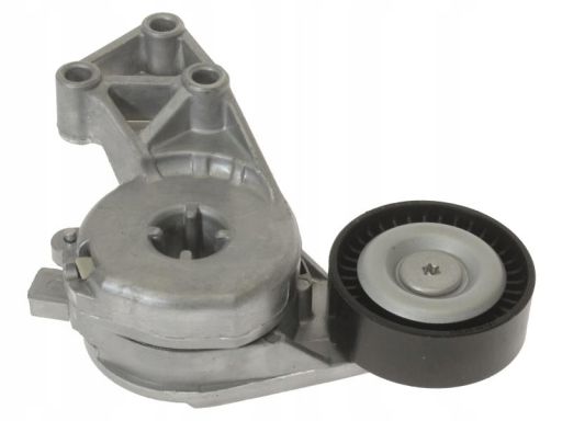 533 0076 30 Napinacz Paska Wielorowkowego Pasuje Do: Audi A3, Tt, Seat