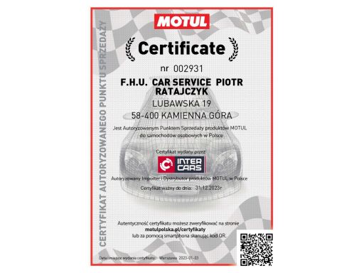 533 0076 30 Napinacz Paska Wielorowkowego Pasuje Do: Audi A3, Tt, Seat