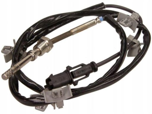 Fe100841 Czujnik Temperatury Spalin (Przed Filtrem Cząstek Stałych) Pa