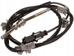 Fe100841 Czujnik Temperatury Spalin (Przed Filtrem Cząstek Stałych) Pa