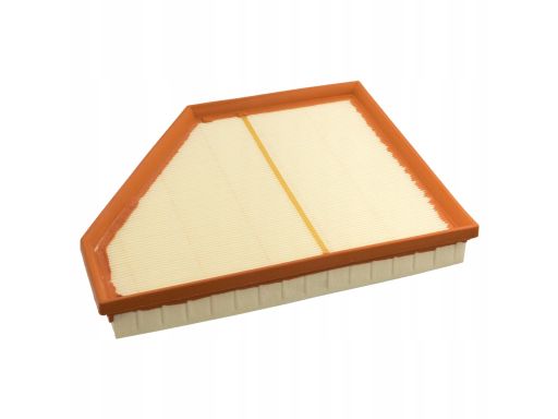 Fe101333 Filtr Powietrza (Wkład Filtra) Pasuje Do: Bmw X5 (E70) 4.8