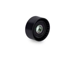 532 0243 10 Rolka Napinająca Pasek Wielorowkowy Pasuje Do: Rvi Mascott